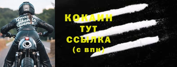 тгк Алзамай