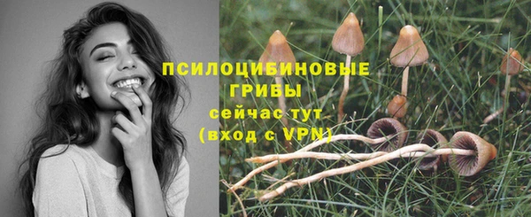 кокс Абаза