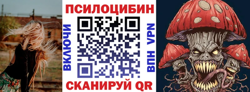 Псилоцибиновые грибы MAGIC MUSHROOMS  Иннополис 