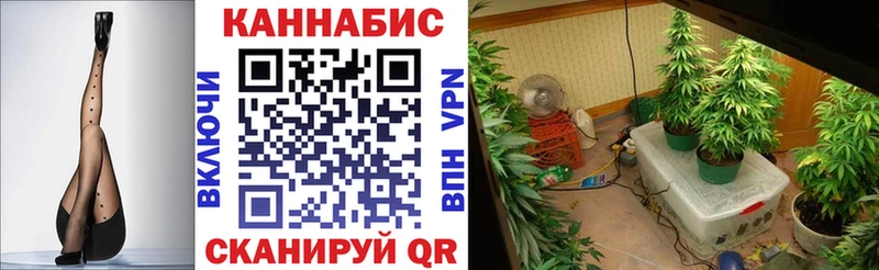 Бошки Шишки White Widow  Иннополис 